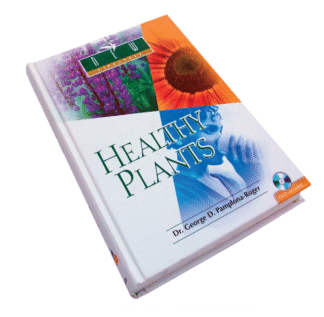 Healthy Plants